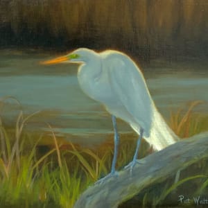 Bird on a Log by Pat Wattam