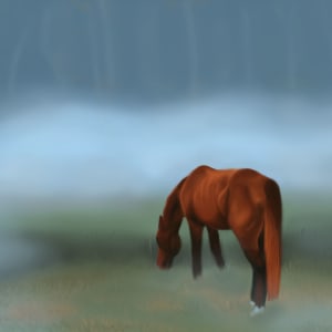 Foggy Pasture by Sariah Chamberlain