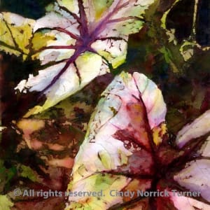 Caladiums by Cindy Norrick Turner, Image 1.