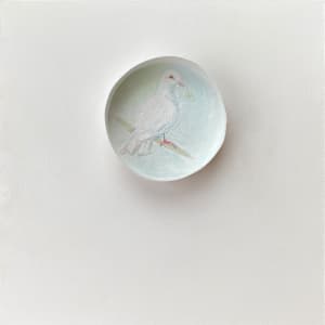 Dove for LBW by Cary Brown