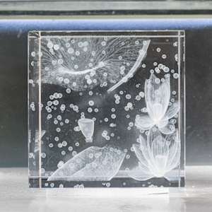 NINFEO Block II by Wolfgang Buttress