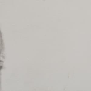 Frank (2) by Pam Black