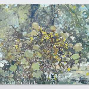 In the Moonlight by Annie Harris Massie