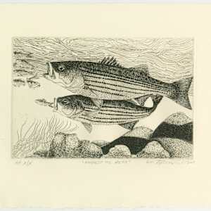 Amongst the Rocks, framed by Stephen Mutsugoroh DiCerbo, Image 1.