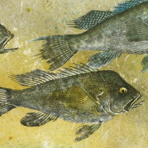Black Seabass Trio 1 by Stephen Mutsugoroh DiCerbo, Image 1.