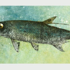 Boynton Tarpon 1 by Stephen Mutsugoroh DiCerbo, Image 1.