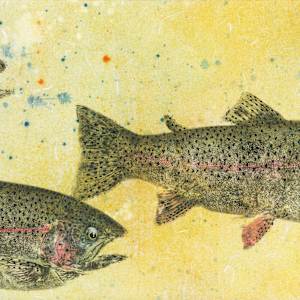 Eagle Lake Rainbow Trout Trio 1 (Giclee') #3/50 by Stephen Mutsugoroh DiCerbo