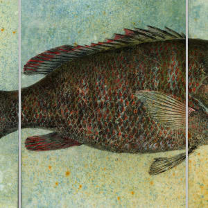 Mangrove Snapper 1  (triptych) by Stephen Mutsugoroh DiCerbo