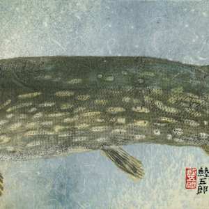 Champlain Pike 2, original by Stephen Mutsugoroh DiCerbo, Image 2.