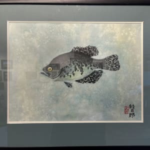 Black Crappie by Stephen Mutsugoroh DiCerbo 