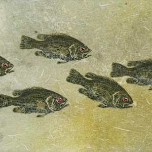 Rockbass School 4 by Stephen Mutsugoroh DiCerbo, Image 1.