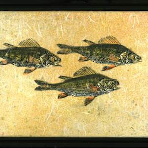 Yellow Perch Trio 6, framed by Stephen Mutsugoroh DiCerbo, Image 1.