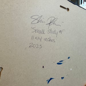 Small Study by Shiri Phillips 