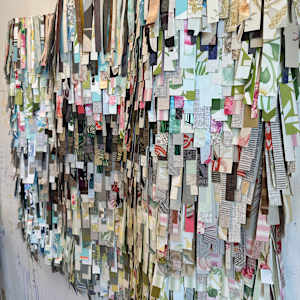 She's Got Curves by Shiri Phillips 