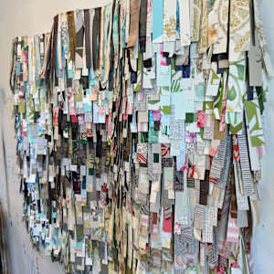 She's Got Curves by Shiri Phillips 