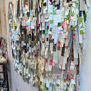 She's Got Curves by Shiri Phillips 