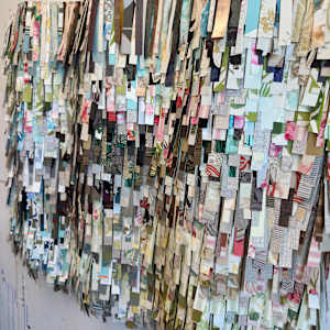 She's Got Curves by Shiri Phillips 