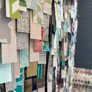 She's Got Curves by Shiri Phillips 