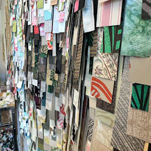 She's Got Curves by Shiri Phillips 