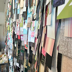 She's Got Curves by Shiri Phillips 