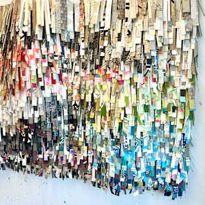 Shaggy by Shiri Phillips 