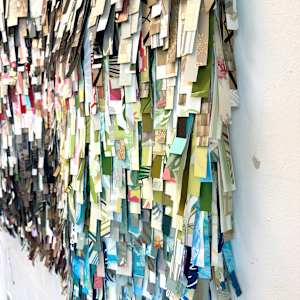 Shaggy by Shiri Phillips 