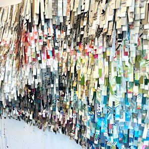 Shaggy by Shiri Phillips 