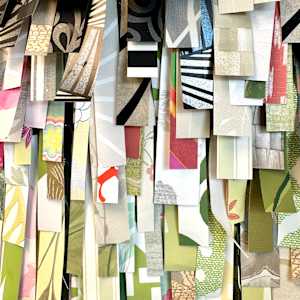 Shaggy by Shiri Phillips 