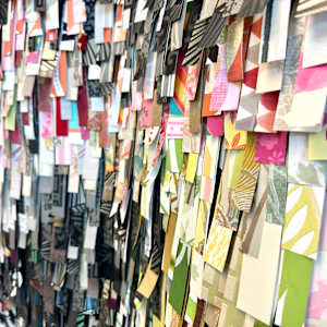 Shaggy by Shiri Phillips 