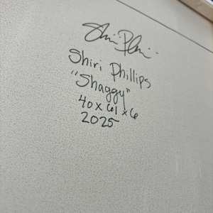 Shaggy by Shiri Phillips 