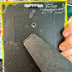 Whipped Color by Shiri Phillips 