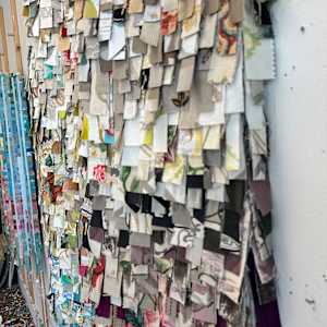 In The Fray by Shiri Phillips 