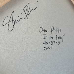 In The Fray by Shiri Phillips 