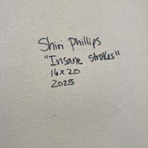 Insane Strokes by Shiri Phillips 