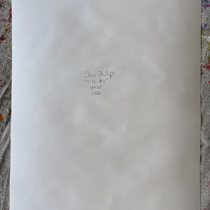 5.12 #6 by Shiri Phillips, Image 2.