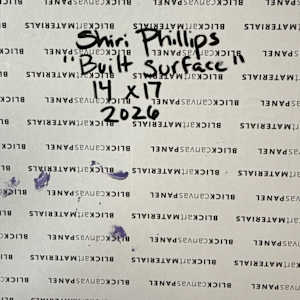 Built Surface by Shiri Phillips, Image 4.