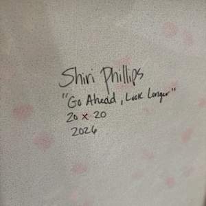 Go Ahead, Look Longer by Shiri Phillips, Image 4.