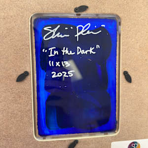 In the Dark by Shiri Phillips 