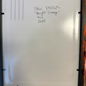 Bright Orange by Shiri Phillips 
