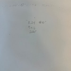 11.24 #10 by Shiri Phillips 