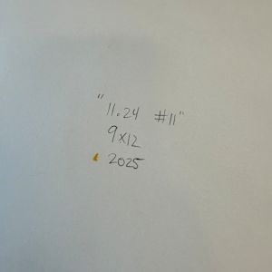 11.24 #11 by Shiri Phillips 