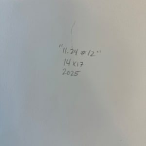 11.24 #12 by Shiri Phillips 