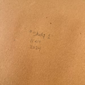 Study 1 by Shiri Phillips 