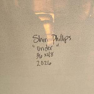 Under by Shiri Phillips 