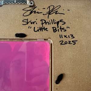Little Bits by Shiri Phillips 