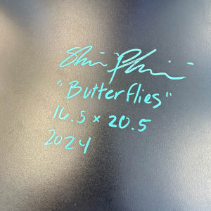 Butterflies by Shiri Phillips 