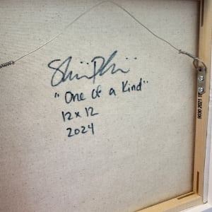 One of a Kind by Shiri Phillips 
