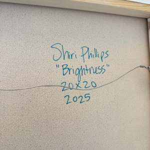 Brightness by Shiri Phillips 