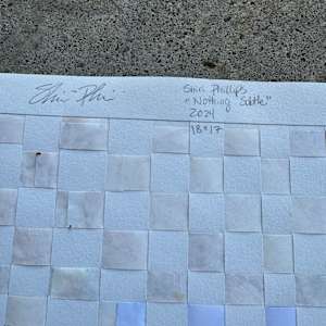 Nothing Subtle by Shiri Phillips 