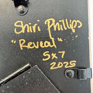 Reveal by Shiri Phillips 